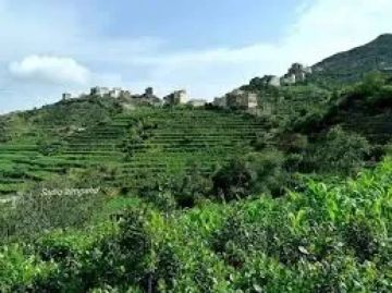 وفاة رجل وامرأة اختناقا داخل مدفن للحبوب بمحافظة ريمة وفاة رجل وامرأة اختناقا داخل مدفن للحبوب بمحافظة ريمة