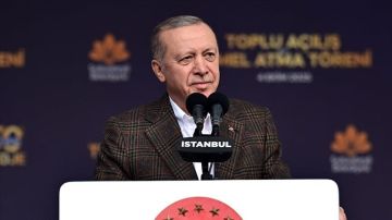 أردوغان: نقوم بنقل ناشطي أسطول الصمود العالمي إلى تركيا