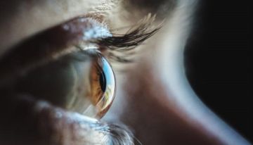 أطعمة صادمة لحماية العين من التعرض للشاشات الإلكترونية ! أطعمة صادمة لحماية العين من التعرض للشاشات الإلكترونية !