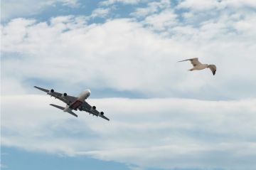 استبعاد الشركات الإسرائيلية من معرض دبي للطيران