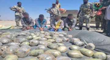 حزام الساحل يضبط قارب يحمل 139 كيسا من الحبوب المخدرة بسواحل أبين حزام الساحل يضبط قارب يحمل 139 كيسا من الحبوب المخدرة بسواحل أبين