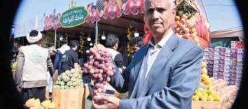 العنب اليمني: إنتاج يتراجع.. فرص ومبادرات تنموية واعدة العنب اليمني: إنتاج يتراجع.. فرص ومبادرات تنموية واعدة