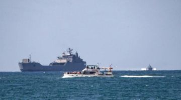 إسرائيل ترحل دفعة جديدة من نشطاء أسطول الصمود 