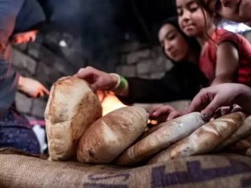 الأغذية العالمي يعلن إعادة فتح المخابز في قطاع غزة الأغذية العالمي يعلن إعادة فتح المخابز في قطاع غزة