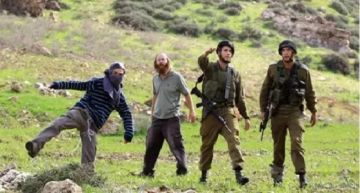 مستوطنون يعتدون على أراضي الفلسطينيين وممتلكاتهم في عدة مدن بالضفة مستوطنون يعتدون على أراضي الفلسطينيين وممتلكاتهم في عدة مدن بالضفة