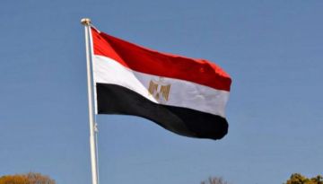 دخول قافلة مصرية إلى غزة للمساعدة في العثور على رفات الرهائن دخول قافلة مصرية إلى غزة للمساعدة في العثور على رفات الرهائن