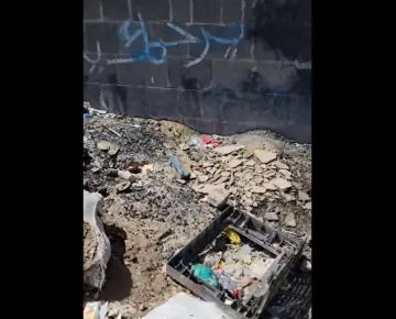  مخلفات الأفران والمباني تثقل كاهل عمال النظافة في تعز: نقاط التجميع تتحول إلى مكبات عشوائية! 