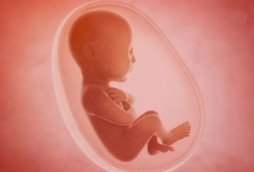 دراسة: الأجنة تتعرف على اللغات الأجنبية وهم في رحم أمهاتهم دراسة: الأجنة تتعرف على اللغات الأجنبية وهم في رحم أمهاتهم