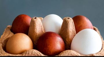 البيض البني أو الأبيض.. أيهما أفضل لصحتك؟