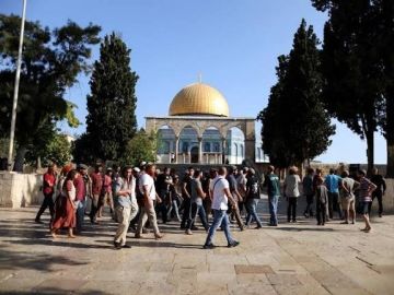مستوطنون صهاينة يقتحمون المسجد الأقصى مستوطنون صهاينة يقتحمون المسجد الأقصى
