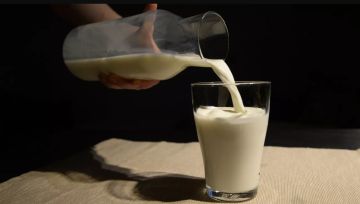 ما الذي يحدث عند وضع النمل في الحليب؟.. دراسة توضح