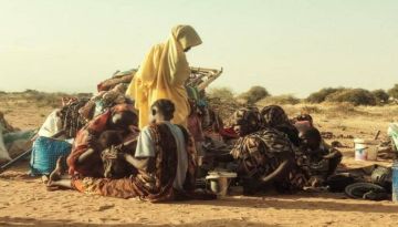 جوع السودان.. مدينة الفاشر تأكل جلودها لتبقى على قيد الحياة