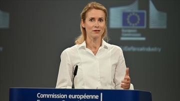 الاتحاد الأوروبي: المحكمة الجنائية الدولية تتعرض لهجوم واسع وسندعمها الاتحاد الأوروبي: المحكمة الجنائية الدولية تتعرض لهجوم واسع وسندعمها