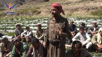 جلسات إرشادية لمزارعي الفراولة والخوخ في بلاد الروس بمحافظة صنعاء جلسات إرشادية لمزارعي الفراولة والخوخ في بلاد الروس بمحافظة صنعاء