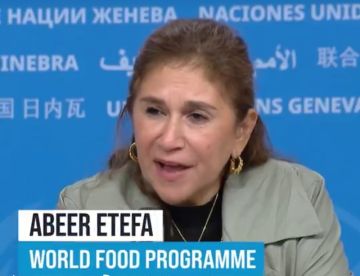 الأغذية العالمي : إدخال نحو 6,700 طن من المواد الغذائية إلى غزة منذ وقف إطلاق النار الأغذية العالمي : إدخال نحو 6,700 طن من المواد الغذائية إلى غزة منذ وقف إطلاق النار