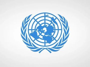 الأمم المتحدة تعين مبعوثا فلسطينيا للافراج عن موظفيها المختطفين لدى الحوثي