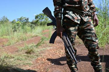 حمى الذهب تفتح شهية كثيرين في متنزه كوموي بساحل العاج حمى الذهب تفتح شهية كثيرين في متنزه كوموي بساحل العاج