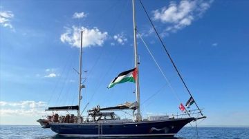 وصول 45 ناشطا من معتقلي أسطول الحرية إلى الأردن