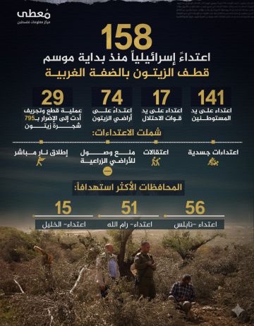 158 اعتداء إسرائيليا منذ بداية موسم قطف الزيتون في الضفة الغربية 158 اعتداء إسرائيليا منذ بداية موسم قطف الزيتون في الضفة الغربية