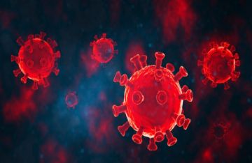 فيروس كورونا جديد في خفافيش البرازيل يثير المخاوف من جائحة محتملة فيروس كورونا جديد في خفافيش البرازيل يثير المخاوف من جائحة محتملة