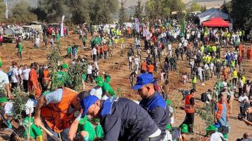 مليون غرسة بيوم.. انطلاق أكبر حملة تشجير في الجزائر مليون غرسة بيوم.. انطلاق أكبر حملة تشجير في الجزائر