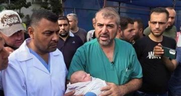البرش: العدو الإسرائيلي يتلاعب بتنفيذ الاتفاق والمساعدات التي وصلت غزة لا تتجاوز 15  البرش: العدو الإسرائيلي يتلاعب بتنفيذ الاتفاق والمساعدات التي وصلت غزة لا تتجاوز 15