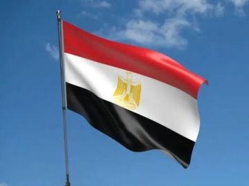 مصر تدخل على خط الأزمة الحوثية مع موظفي المنظمات الأممية مصر تدخل على خط الأزمة الحوثية مع موظفي المنظمات الأممية