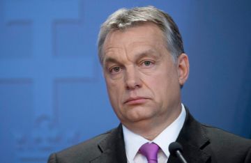 أوربان: لنجاح قمة بوتين - ترامب أهمية وجودية لهنغاريا