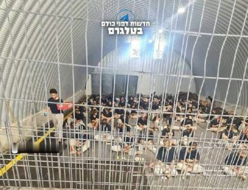 سفراء أوروبيون يصفون منع إسرائيل زيارة الصليب الأحمر للمعتقلين بالخطأ الفادح