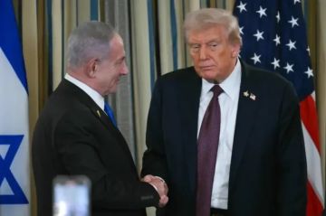 حماس ترد رسميا على تصريحات ترامب بشأن خطة غزة حماس ترد رسميا على تصريحات ترامب بشأن خطة غزة