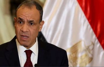 مصر: حريصون على إنجاح خطة ترامب بشأن غزة