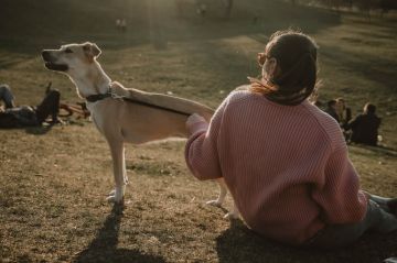 دراسة: ساعة أسبوعيا مع الكلاب تؤخر الشيخوخة لدى النساء