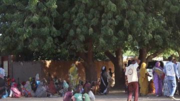 الأمم المتحدة تحذر من الوضع المروع في الفاشر الأمم المتحدة تحذر من الوضع المروع في الفاشر