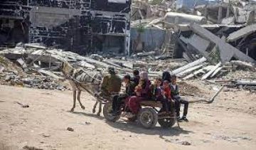 إسرائيل تؤكد التعرف على هوية رهينتين تسلمت جثتيهما إسرائيل تؤكد التعرف على هوية رهينتين تسلمت جثتيهما