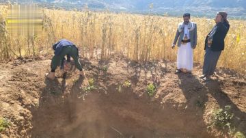 ردم الآبار العشوائية المخالفة في شبام كوكبان بالمحويت ردم الآبار العشوائية المخالفة في شبام كوكبان بالمحويت