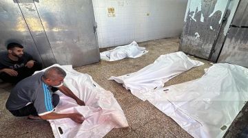 29 شهيدا فلسطينيا في قطاع غزة منذ فجر اليوم