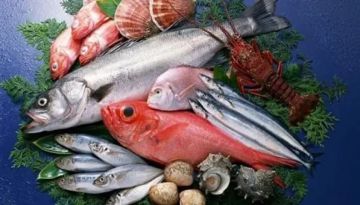 أسعار الأسماك اليوم الأربعاء 29 أكتوبر 2025.. تراجع الجمبري وسط استقرار باقي الأنواع