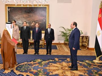 سفير الإمارات يقدم أوراق اعتماده إلى الرئيس المصري سفير الإمارات يقدم أوراق اعتماده إلى الرئيس المصري