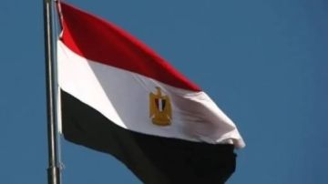 مصر تعرب عن تقديرها لبيان حماس ردا على خطة الرئيس ترامب