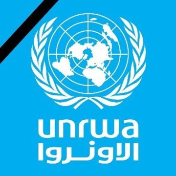 الأونروا : المساعدات الإنسانية التي نقدمها في غزة لاتزال محظورة الأونروا : المساعدات الإنسانية التي نقدمها في غزة لاتزال محظورة