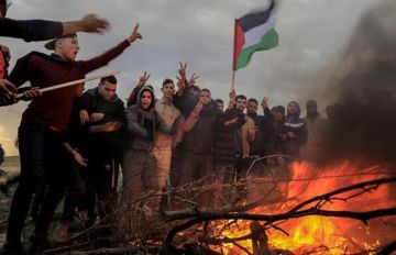 عودة جماعية للفلسطينيين إلى مدينة غزة وشمال القطاع بعد انسحاب جيش الاحتلال