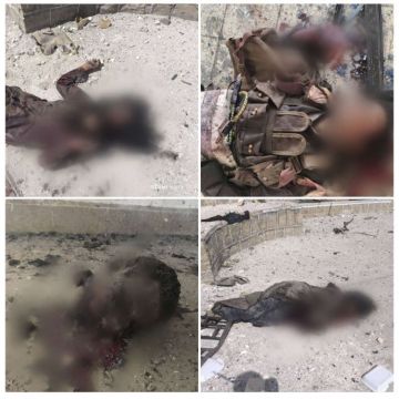 إحباط هجوم إرهابي على المجمع الحكومي في المحفد إحباط هجوم إرهابي على المجمع الحكومي في المحفد