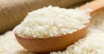 توقعات بوصول إنتاج الأرز الياباني لأعلى مستوى بـ9 سنوات