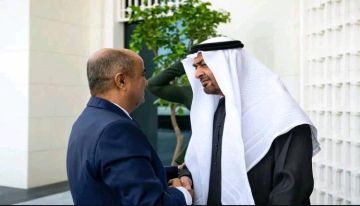 عاجل الرئيس الإماراتي محمد بن زايد يستقبل رئيس الوزراء سالم بن بريك