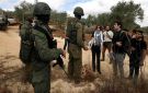 العدو الإسرائيلي يطرد 32 أجنبيا من الضفة الغربية لمساعدتهم قاطفي الزيتون الفلسطينيين - ye