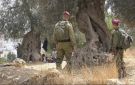 العدو الصهيوني ومستوطنيه يواصلون إعتداءاتهم بحق الفلسطينيين في الضفة - ye