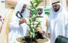السعودية تزرع الأمل في المساجد.. مبادرة مساجدنا حلة خضراء تغرس 100 ألف شتلة بحائل - ye
