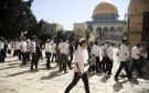 محافظة القدس: تنظيم جولات تهويدية في أنفاق سلوان اعتداء على حضارة القدس - ye