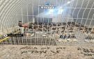 نادي الأسير الفلسطيني : 80 أسيرا استشهدوا داخل سجون العدو الصهيوني منذ العدوان - ye