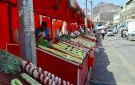 أفراح وأرزاق.. فل لحج محصول يعيل آلاف العائلات اليمنية - ye